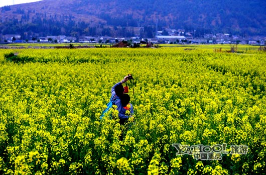 　　不論從人文氣息還是田園自然風光,都值得我們?？?。(圖片來源:CFP)