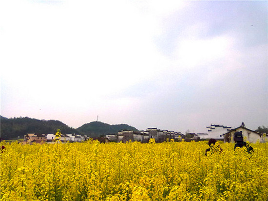 婺源清明節(jié)三天自由行 婺源清明節(jié)三天自由行