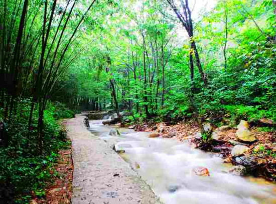 端午來出游 河南景區(qū)優(yōu)惠大盤點 端午來出游 河南景區(qū)優(yōu)惠大盤點