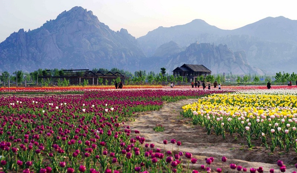 別樣蜜月，河南最適宜新婚度假的景區(qū)