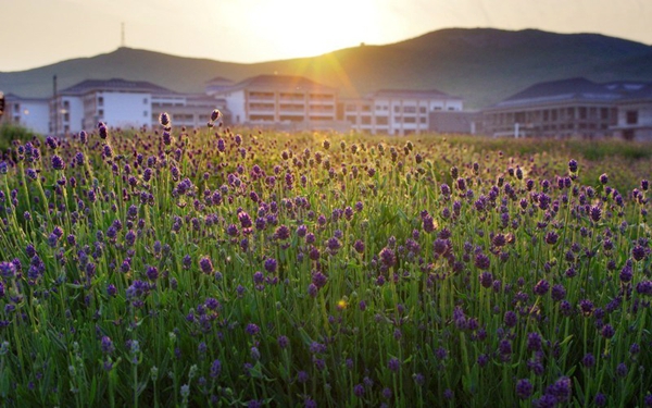 別樣蜜月，河南最適宜新婚度假的景區(qū)