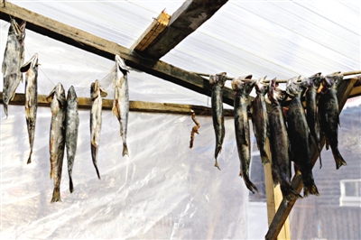 長白山腳下一家小餐館內(nèi)晾曬的冷水魚。