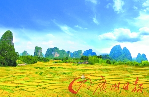 美食節(jié)品千雞宴 森林盛會秀才藝贏獎(jiǎng)品