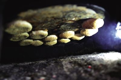 吊爐燒餅是黃驊最典型的面食之一，這種手藝在一些老院子里已經(jīng)傳承了上百年時間。