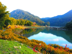 初冬的石門森林公園色彩絢爛。