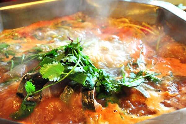 爽爽貴陽吸引吃貨小分隊(duì)