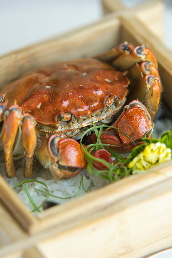 金閣呈獻(xiàn)創(chuàng)意蟹饌 增添秋天味道 金閣呈獻(xiàn)創(chuàng)意蟹饌 增添秋天味道