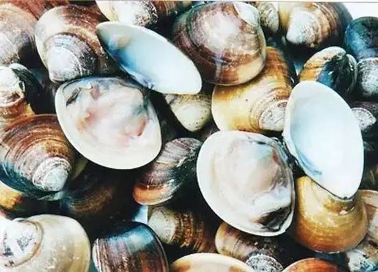 秋季最適合吃的海鮮是這10種 你吃對了嗎？