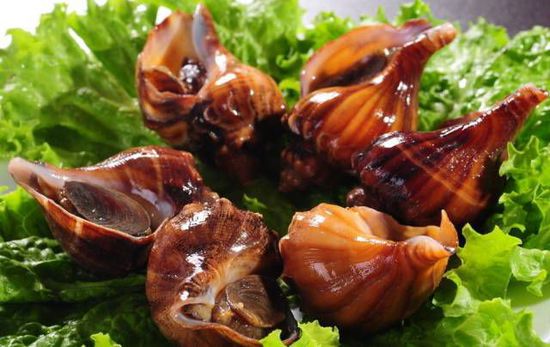 秋季最適合吃的海鮮是這10種 你吃對了嗎？