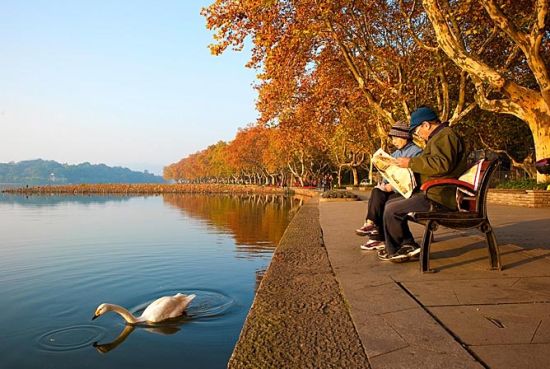 西湖邊的老兩口 攝影:銹劍 西湖邊的老兩口 攝影:銹劍