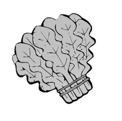 雪后菜價(jià)瘋漲15倍？沒恁夸張 元旦豬肉雞蛋或漲價(jià)