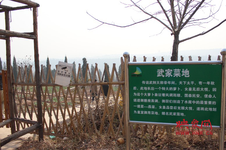 武家菜地就是這，據(jù)說(shuō)里面有個(gè)特大的蘿卜