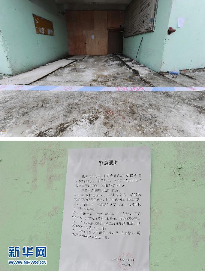 上海6日起暫停活禽交易 關閉所有活禽交易市場