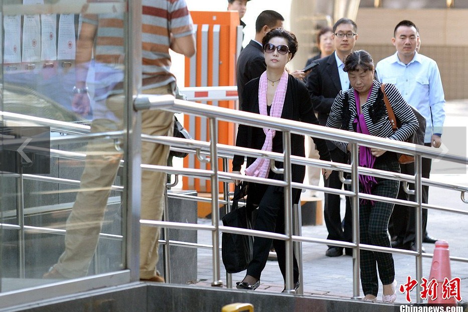 夢(mèng)鴿現(xiàn)身海淀法院。中新網(wǎng)記者 金碩 攝