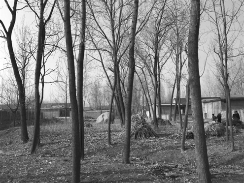 486臺兒莊戰(zhàn)役將士埋骨荒野 紀念設(shè)施或年內(nèi)落成