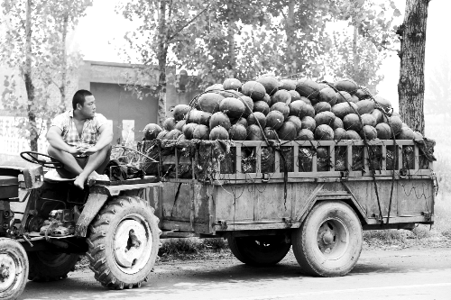 　看著滿滿一車瓜，一瓜農(nóng)愁眉不展。