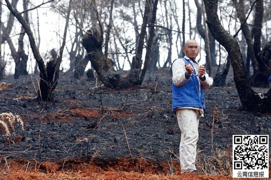 山林被燒得滿目瘡痍。
