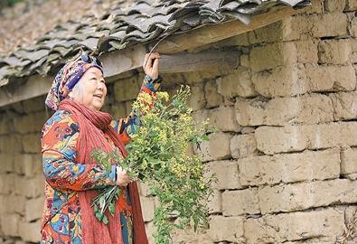 公式“時尚奶奶”的賞花照，收獲了好多人的點贊。 受訪者供圖