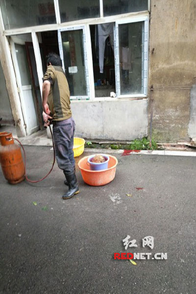 5月8日，男子在校園里殺狗，地上殘留一塊血跡。目擊者供圖。