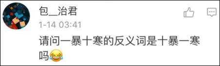 鶴立雞群？雞立鶴群！