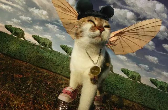 一只虛擬寵物貓叫價(jià)13億元？云養(yǎng)貓成真