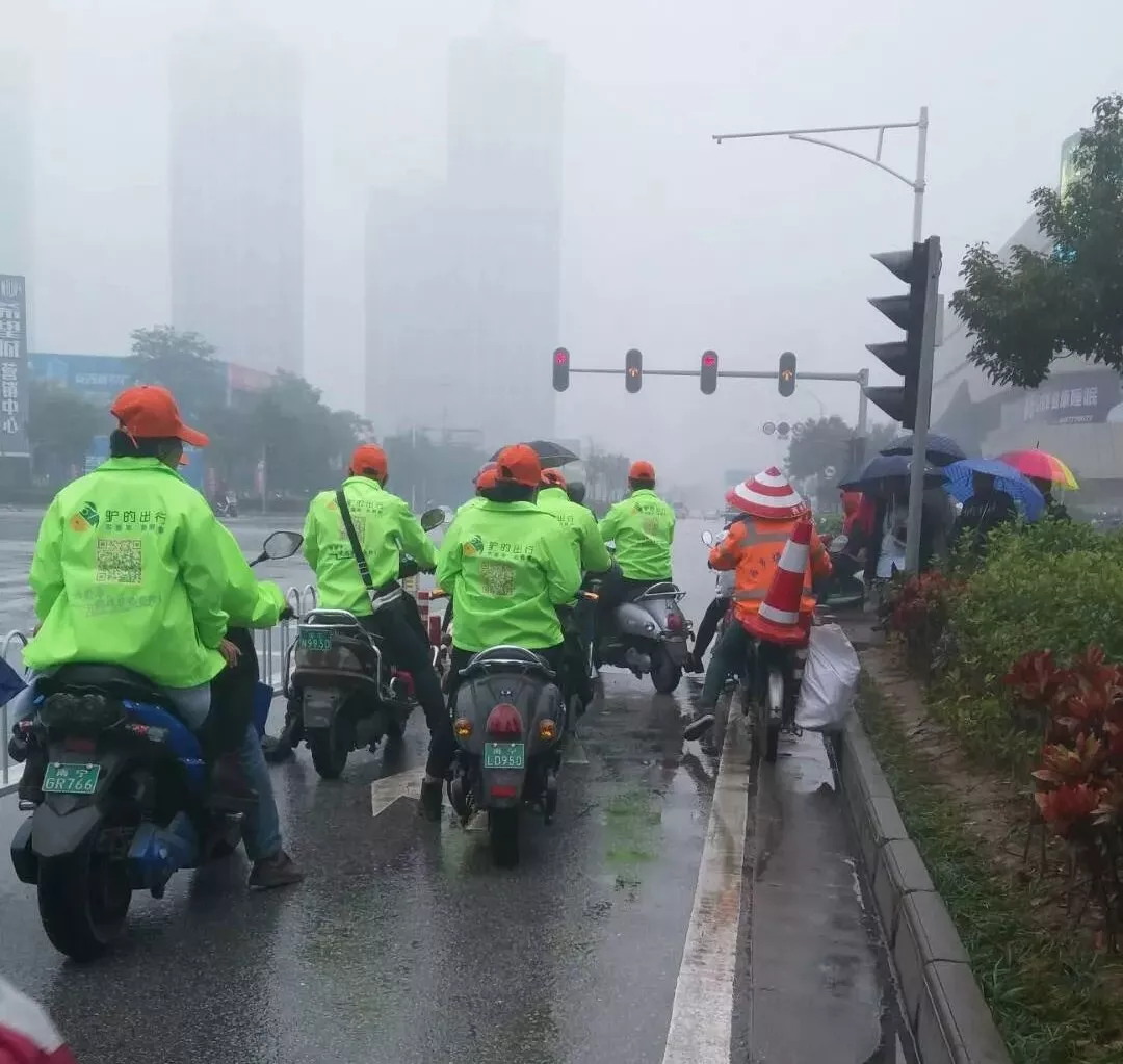 出門打驢？ 南寧“滴滴打驢”被緊急叫停