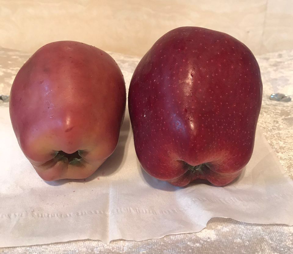 嚇懵！女子用熱水泡蘋果結(jié)果冒出血珠 咋回事？