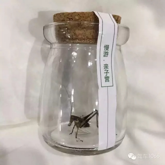 看看我的成果吧！