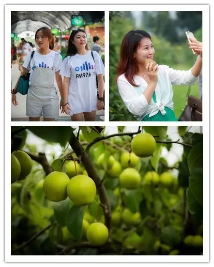 美女與香梨，你更愛哪一個(gè)？！