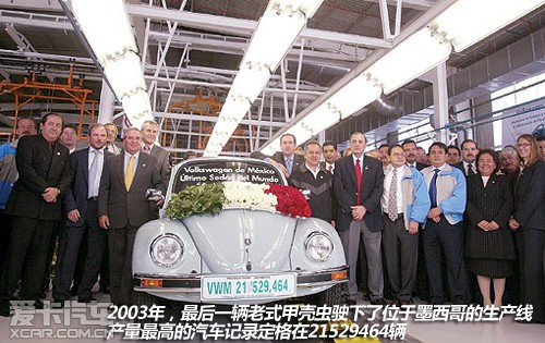 大眾甲殼蟲 大眾甲殼蟲