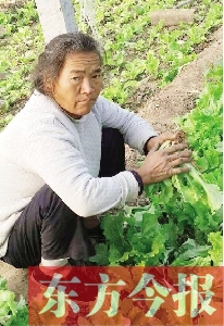 收留流浪老人一個月 鄭州“蘿卜哥”發(fā)微博幫其尋親 收留流浪老人一個月 鄭州“蘿卜哥”發(fā)微博幫其尋親