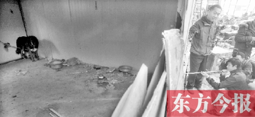 12月4日，鄭州市未來路與隴海路交叉口西側(cè)，執(zhí)法人員用吹管麻醉針對(duì)付一只藏獒