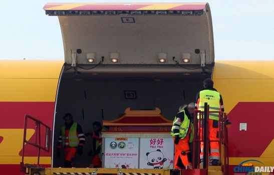 大熊貓“好好”抵達(dá)布魯薩爾國(guó)際機(jī)場(chǎng)。記者 付敬 攝