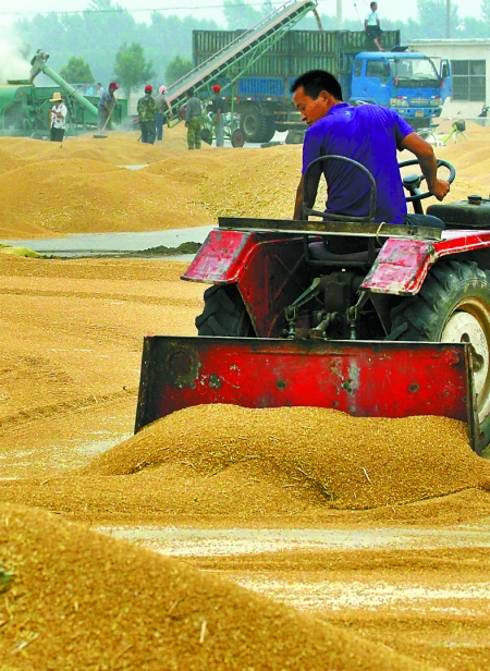 精心晾曬，散倉入庫。