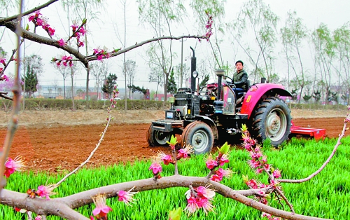 　　3月25日，武陟縣龍?jiān)崔k事處東馬曲村村民正在田里耕作。時(shí)下正值春耕時(shí)節(jié)，武陟農(nóng)民紛紛抓住有利時(shí)機(jī)