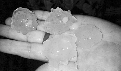 昨天凌晨，三門(mén)峽下起了冰雹，最大直徑近1厘米 微博截圖