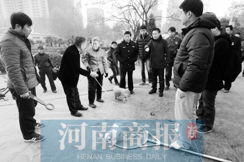 一只辦過(guò)狗證的小白狗，因?yàn)闆]有拴犬鏈，被執(zhí)法人員暫扣