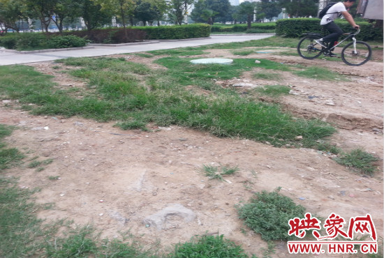 公園內大片草坪遭到破壞。