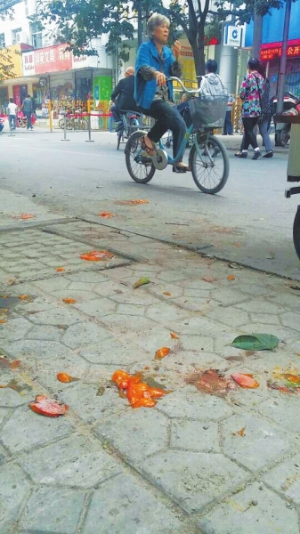 爛了一地的柿子影響市容，還常?；谷恕? width=