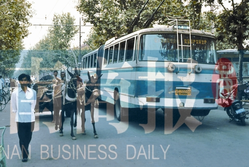 當(dāng)年的伏牛路，驢車和公交車并行