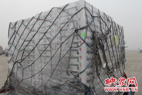 智力的藍(lán)莓包機(jī)跨洋到河南 智力的藍(lán)莓包機(jī)跨洋到河南