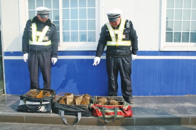 民警查獲的乘客行李包中，裝的全是獼猴。