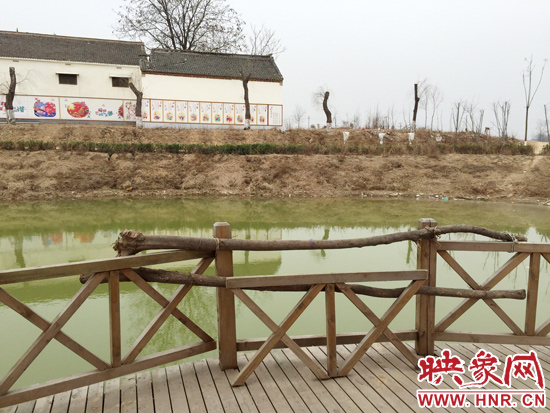 護(hù)欄損毀的地方，已經(jīng)被兩根樹(shù)干擋住。