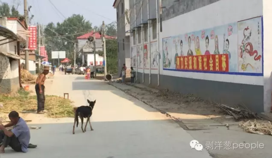 孫莊村一角。新京報記者安鐘汝 攝