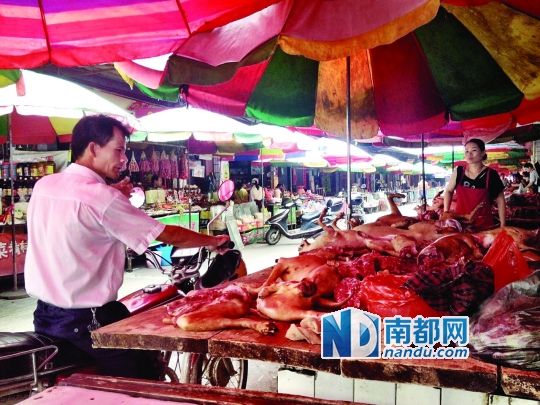  昨日，玉林垌口市場(chǎng)，一位市民在購(gòu)買狗肉。
