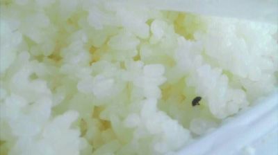 陸先生在高鐵上購買的“梅菜扣肉套餐”盒飯。盒飯中的米飯上有芝麻狀的黑色小蟲。