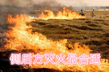 不要在風(fēng)頭上打火：風(fēng)正大，火正旺，最容易傷人；