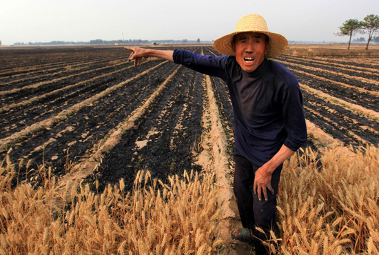 河南省滑縣、內(nèi)黃縣麥田著火，麥壟套種的花生、玉米苗也被烤焦，群眾損失慘重