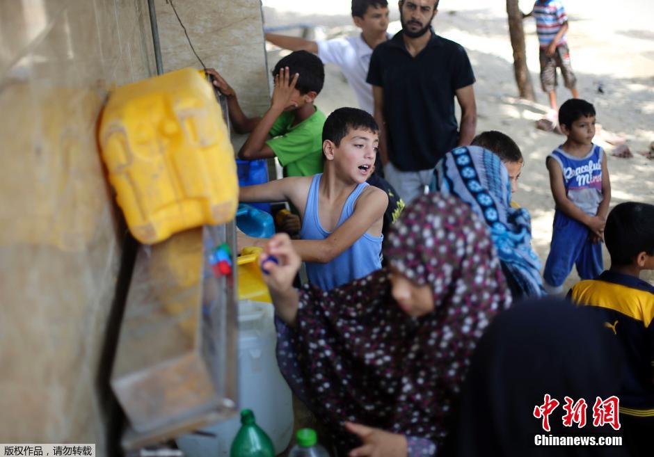 以色列對(duì)加沙發(fā)動(dòng)地面進(jìn)攻 民眾攜羊群逃難 以色列對(duì)加沙發(fā)動(dòng)地面進(jìn)攻 民眾攜羊群逃難