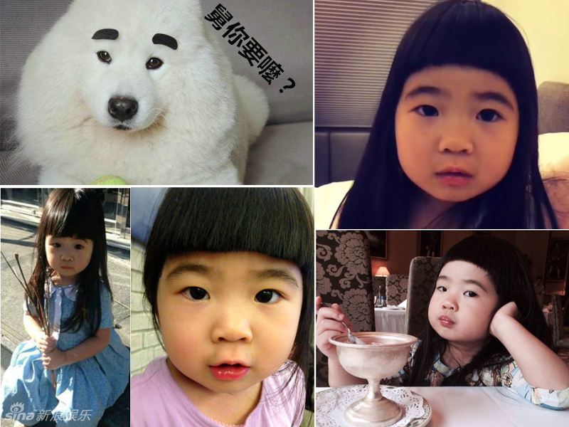 不小心就撞臉了！盤(pán)點(diǎn)動(dòng)物界的明星相